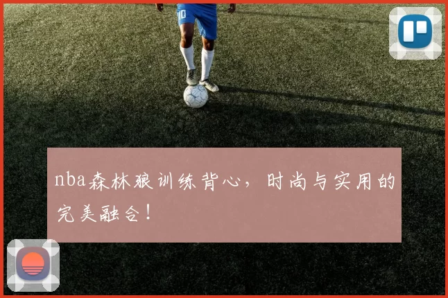 nba森林狼训练背心，时尚与实用的完美融合！