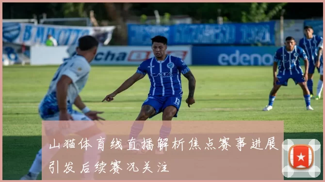 山猫体育线直播解析焦点赛事进展引发后续赛况关注