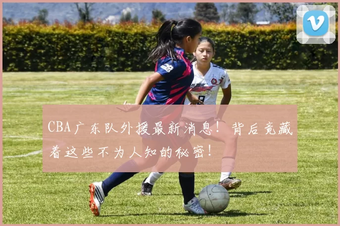 CBA广东队外援最新消息！背后竟藏着这些不为人知的秘密！