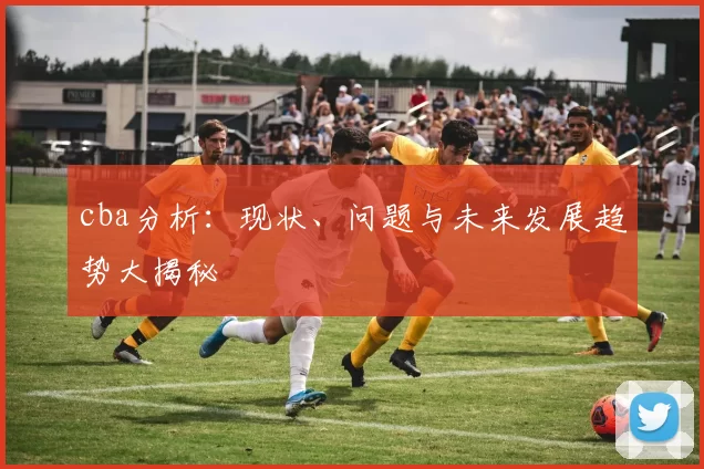 cba分析：现状、问题与未来发展趋势大揭秘